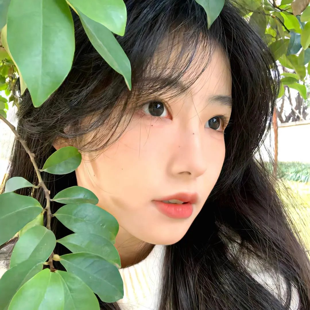 八毫米